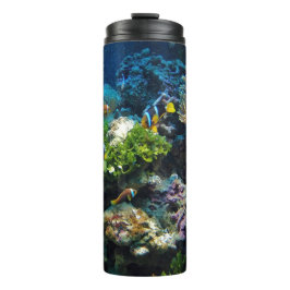 Vaso del arrecife de coral