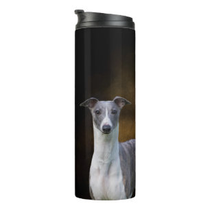 Vaso la termal de Whippet
