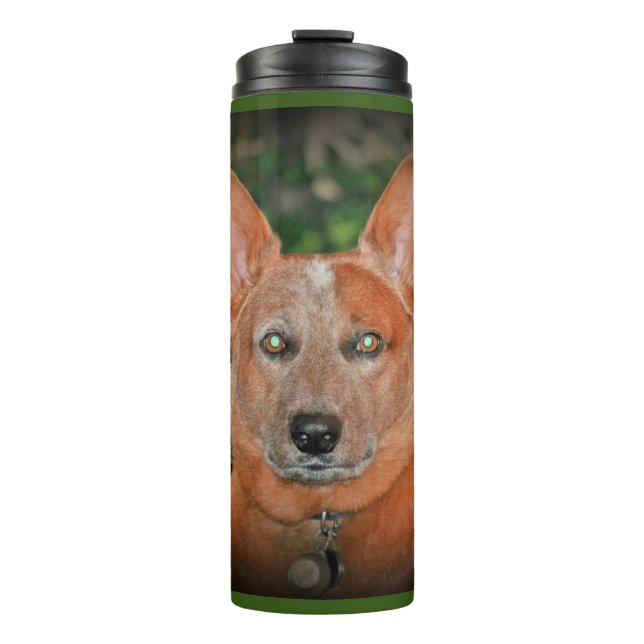 Vaso rojo la termal del perro de Heeler del (Anverso)