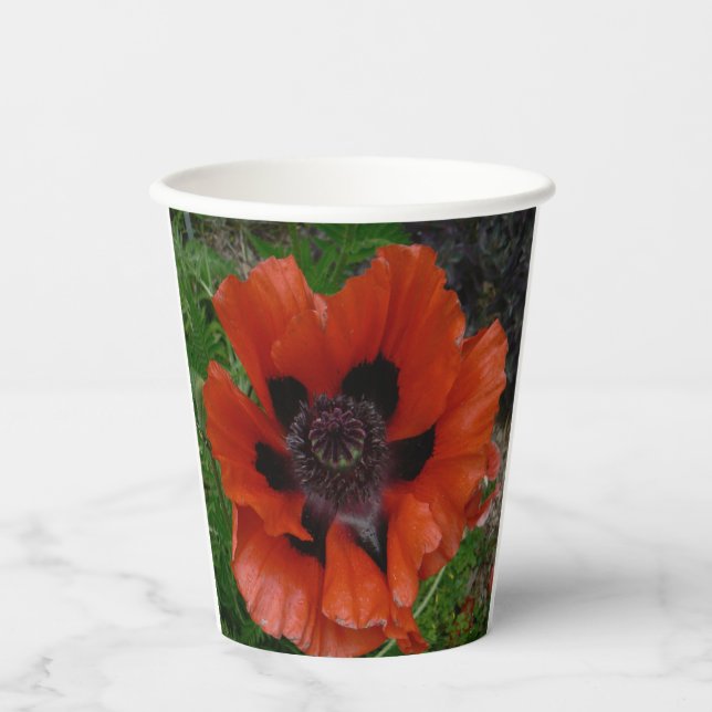 Vasos De Papel amapola oriental   (Anverso)