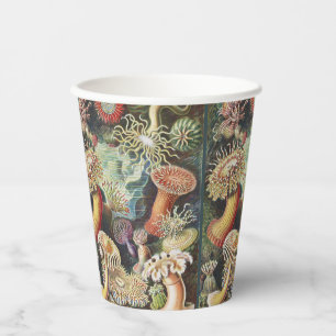 Vasos De Papel Anémonas de mar de Haeckel Arte náutico de vida ma
