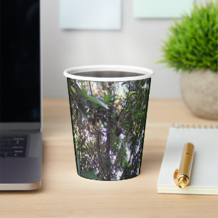 Vasos De Papel Árbol de aguacates