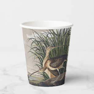Vasos De Papel Arte de ave vintage de Audubon del zarapito de pic