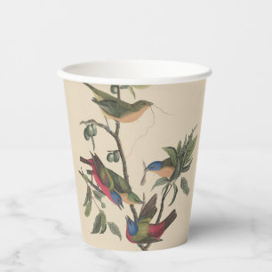 Vasos De Papel Arte de pájaros coloridos Vintage Audubon Pintado