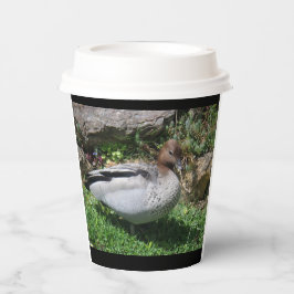 Vasos De Papel Australian Wood Duck in Tranquil Garden