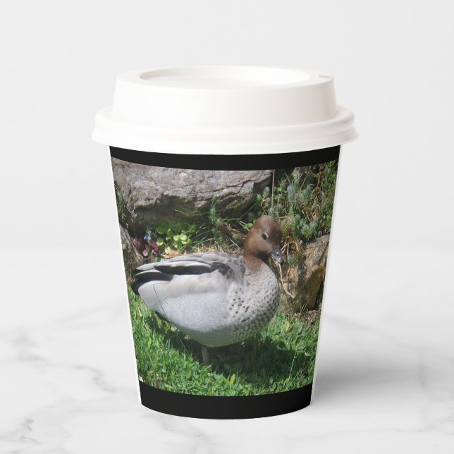Vasos De Papel Australian Wood Duck in Tranquil Garden (Anverso)