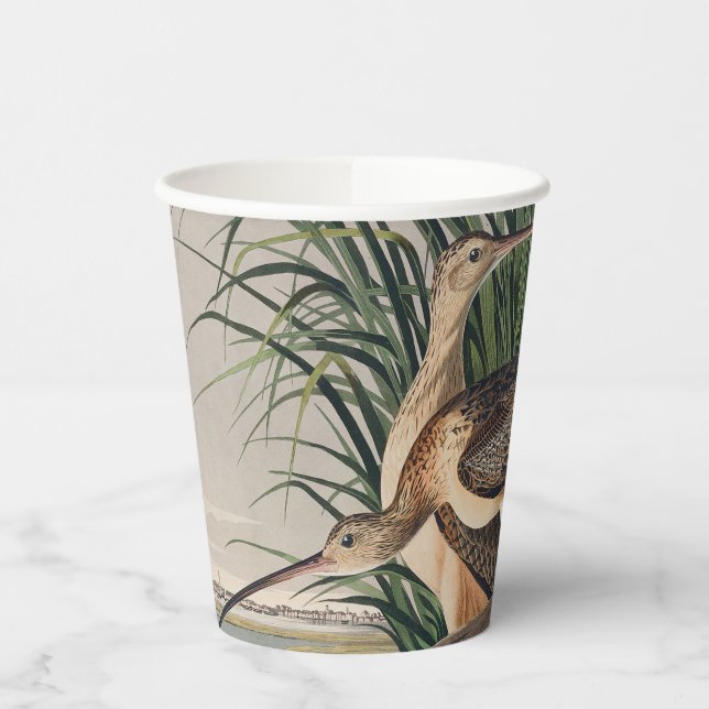 Vasos De Papel Ave Audubon (Izquierda)