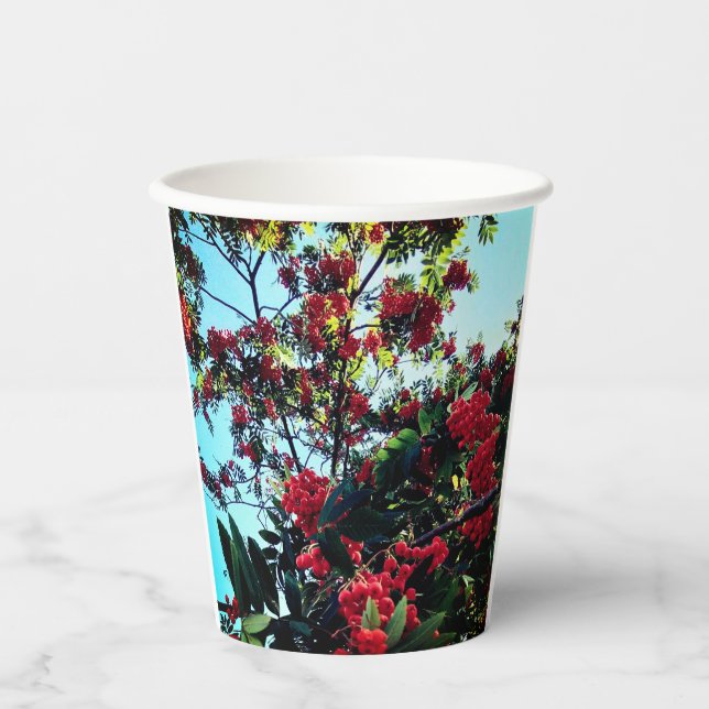 Vasos De Papel Bellas rojas (Anverso)