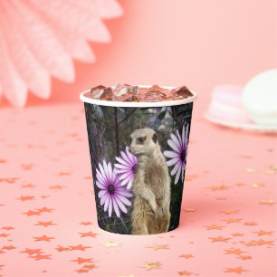 Vasos De Papel Bloom Curioso: Meerkat entre margaritas moradas
