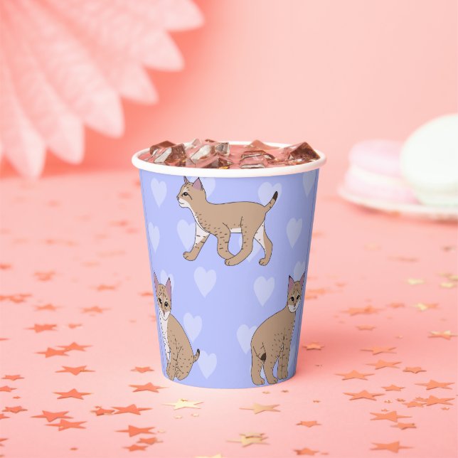 Vasos De Papel Bobcats (in situ)