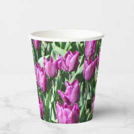 Vasos De Papel Bonito Morado Tulips Floral