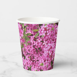 Vasos De Papel Bonito Rosa Daphne Floral