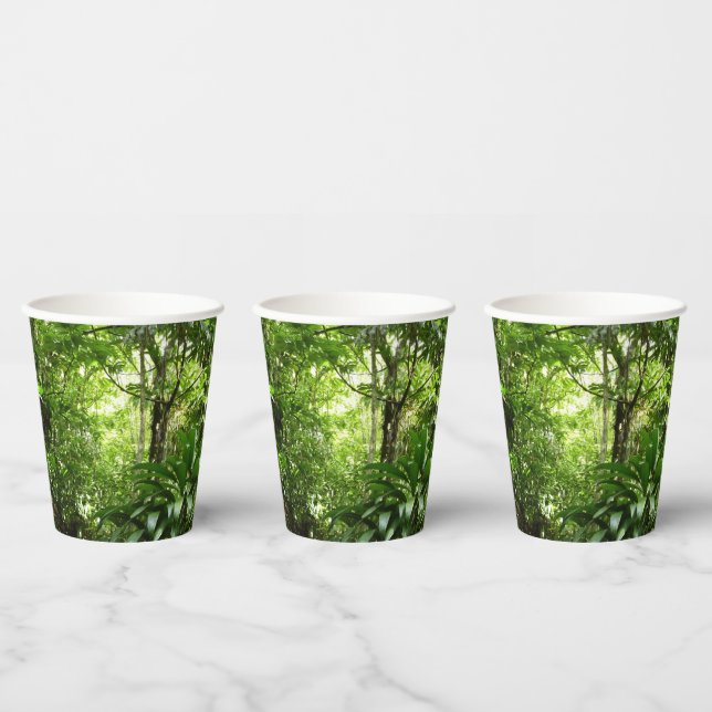 Vasos De Papel Bosque lluvioso dominicano I Naturaleza tropical v (Multi)