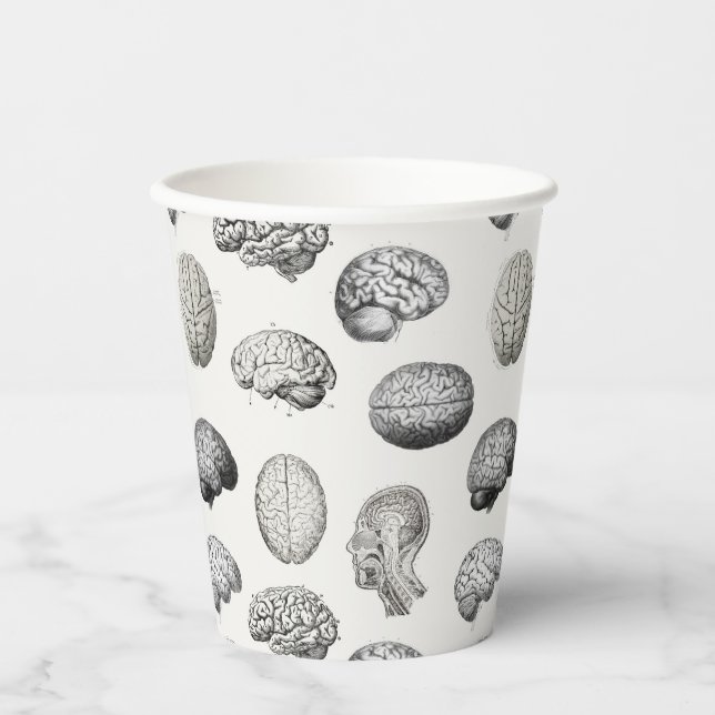 Vasos De Papel Brain Anatomy Biology Illustrations (Anverso)