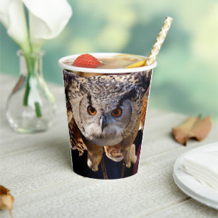 Vasos De Papel Búho