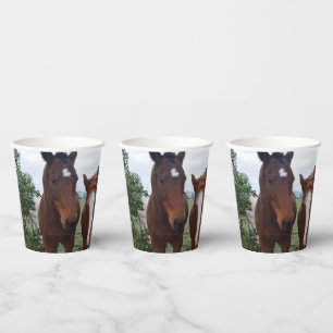 Vasos De Papel Cabello Frisado: Deliciosos Problemas de Caballo,