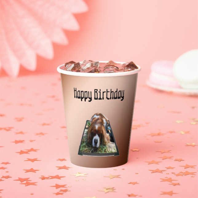 Vasos De Papel Cavalier Spaniel Popout Art, (in situ)