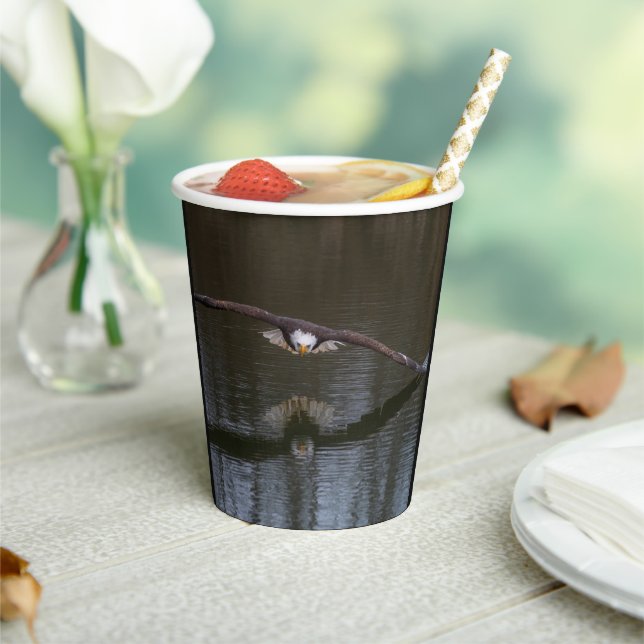 Vasos de papel con águila calva en vuelo (in situ)