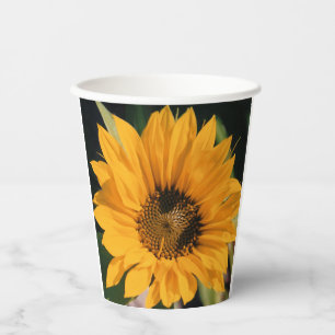 Vasos De Papel Copas de papel de girasol
