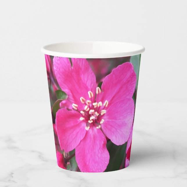 Vasos De Papel Crabapple de floración rosa (Izquierda)
