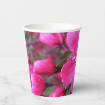 Crabapple de floración rosa