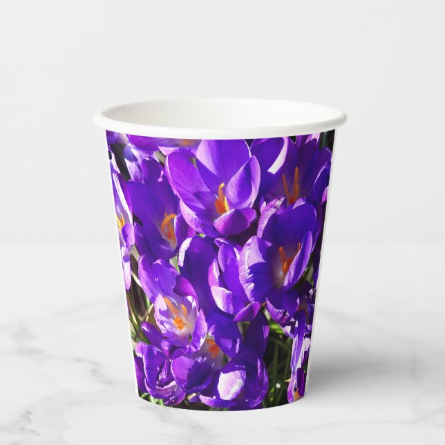VASOS DE PAPEL CROCUS DE PRIMAVERA (Anverso)