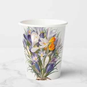 Vasos De Papel Crocus Spring Flower Botanical Floral Art