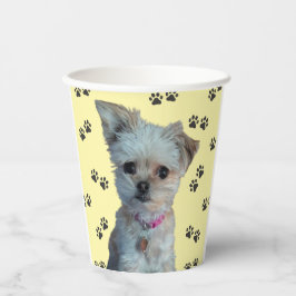 Vasos De Papel Cubos de papel