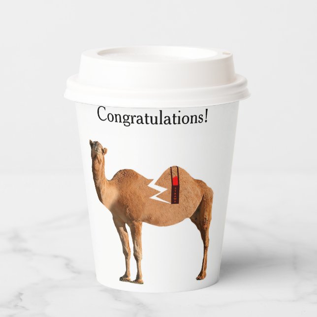 Vasos De Papel Cubos de papel de Fiesta de divorcio con mentiras (Anverso)