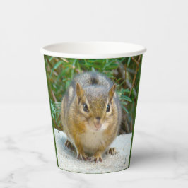Vasos De Papel Cute Chipmunk Tiene La Vista En Ti