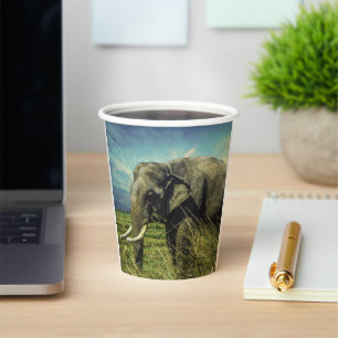 Vasos De Papel Elefante