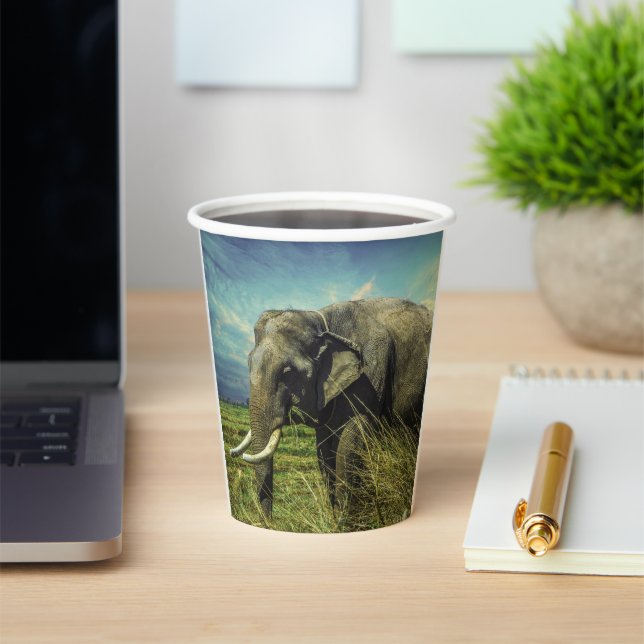 Vasos De Papel Elefante (in situ)
