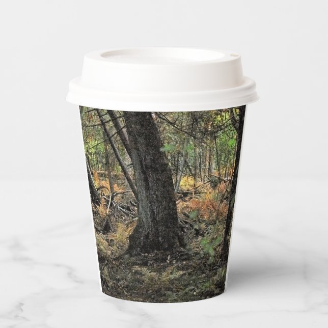 Vasos De Papel Escenario forestal de otoño (Anverso)
