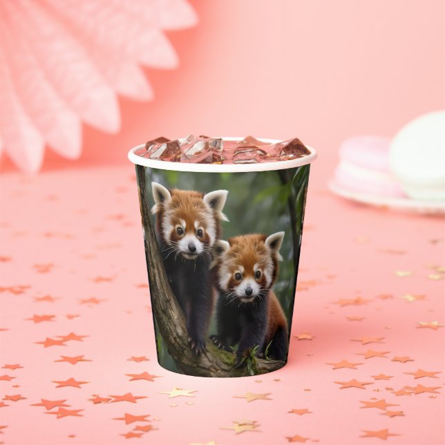 Vasos De Papel "Exploradores de la cubierta del árbol: Pandas roj (in situ)