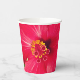 Vasos De Papel Flor roja de Hibiscus Rosa-sinensis