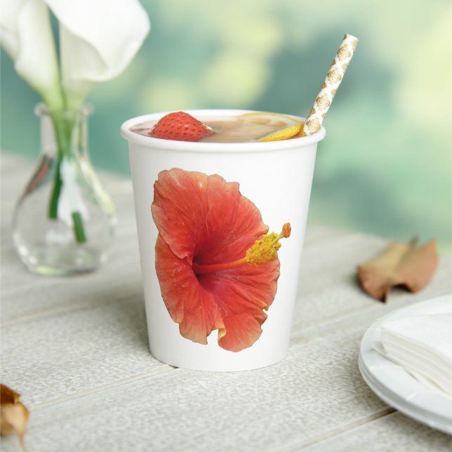 Vasos De Papel Flor Tropical de Hibisco Naranja (in situ)