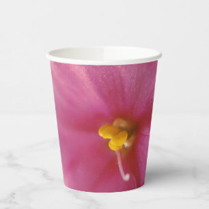 Vasos De Papel Flor violeta rosada pastoral africana (Saintpaulia