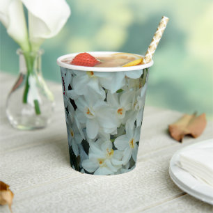 Vasos De Papel Flores blancas de arcissus paperblancas