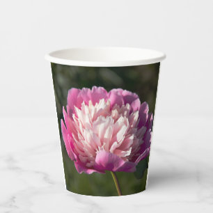 Vasos De Papel Flores de peonía rosada en la foto del día de prim