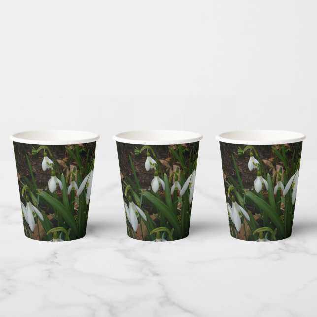 Vasos De Papel Flores de Primavera Blanca (Galanthus) (Multi)