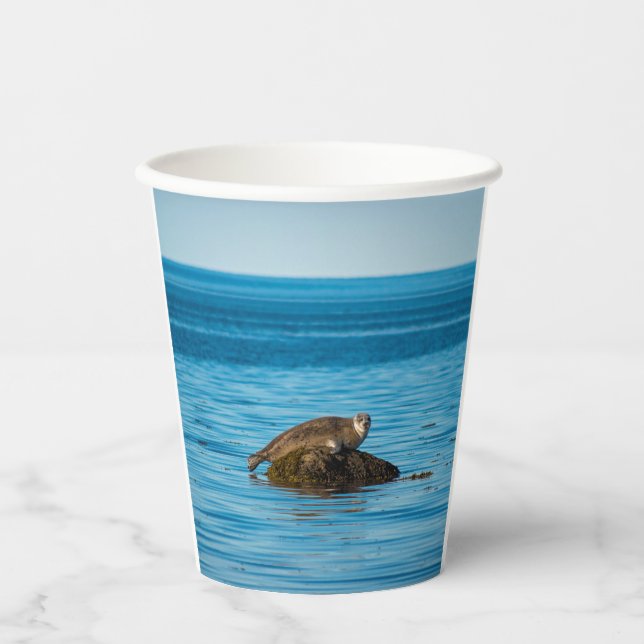 Vasos De Papel Foca de puerto Atlántico (Anverso)