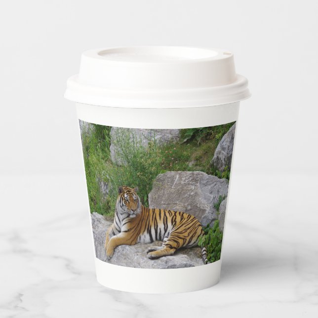 Vasos De Papel Foto de retrato de un tigre siberiano (Anverso)