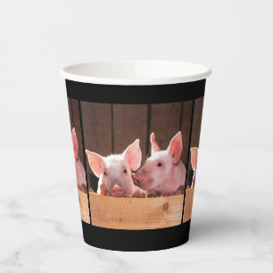 Vasos De Papel Fotografía animal de lechones rosados