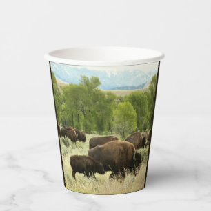 Vasos De Papel Fotografía de animales de la naturaleza de Wyoming