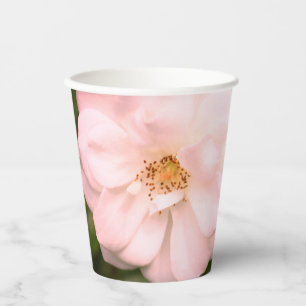 Vasos De Papel Fotografía De Flor Rosa Y Verde
