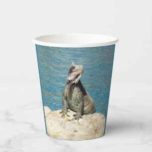 Vasos De Papel Fotografía de Iguanas y Vida Silvestre Tropical
