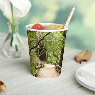 Vasos De Papel Fotografía de la Naturaleza de Camino II de Muir W