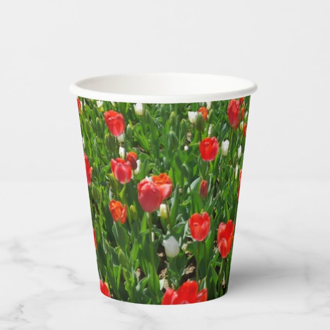 Vasos De Papel Fotografía de la naturaleza del campo de la flor d (Anverso)