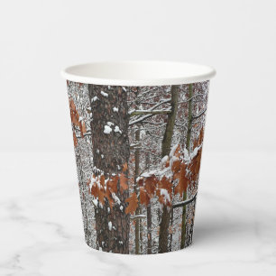 Vasos De Papel Fotografía de naturaleza invernal de robles cubier