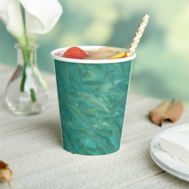 Vasos De Papel Fotografía de pesca submarina (in situ)